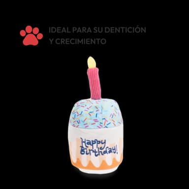 Juguetes de entrenamiento para cachorros 5 unidades