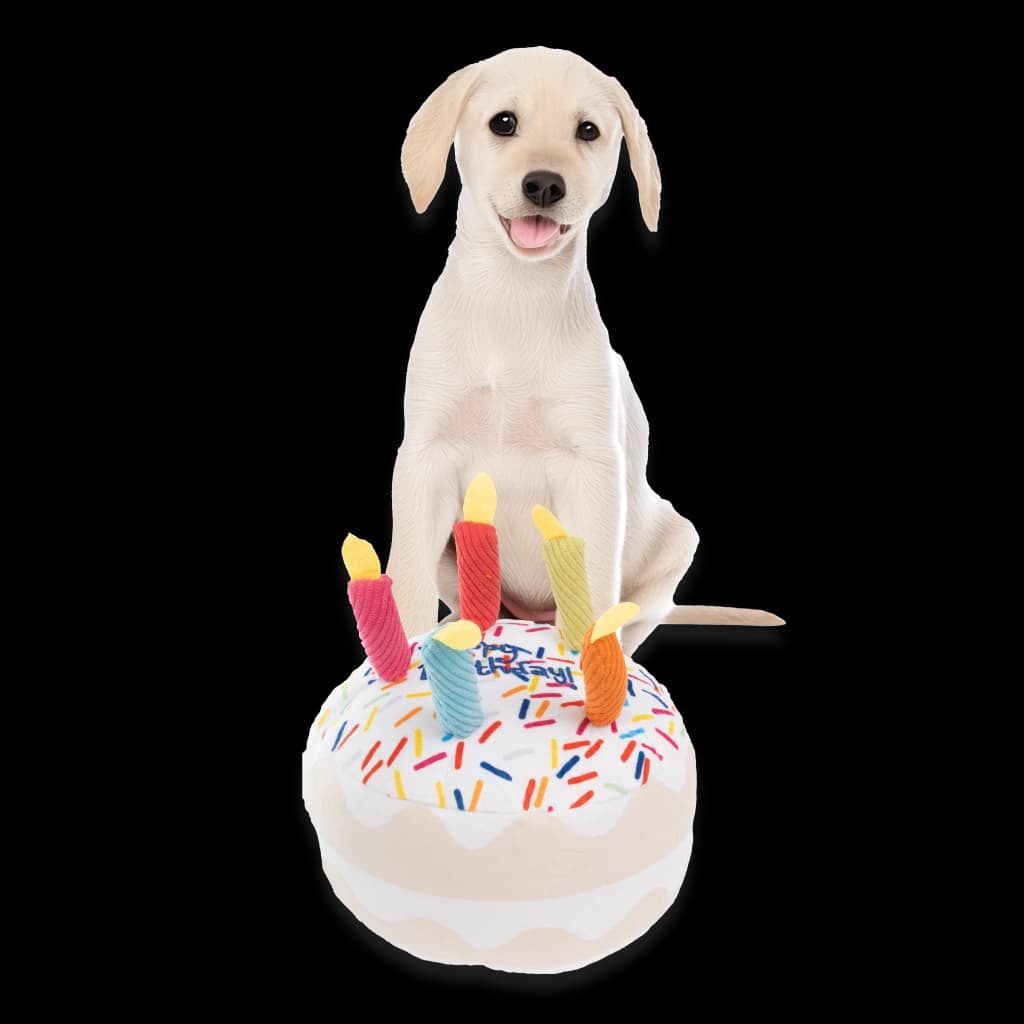 Juguetes de entrenamiento para cachorros 5 unidades