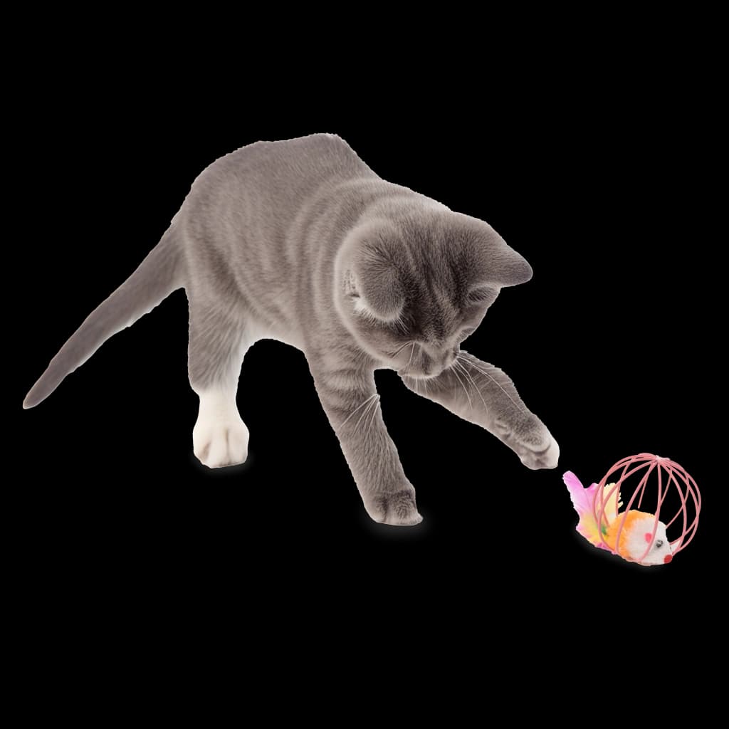 Set juegos para gatos 24 unidades - Túnel T