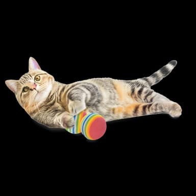 Set juegos para gatos 21 unidades