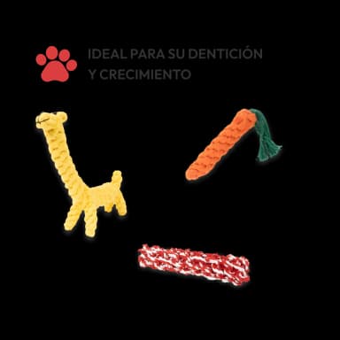 Set juegos para perros - 11 Unidades