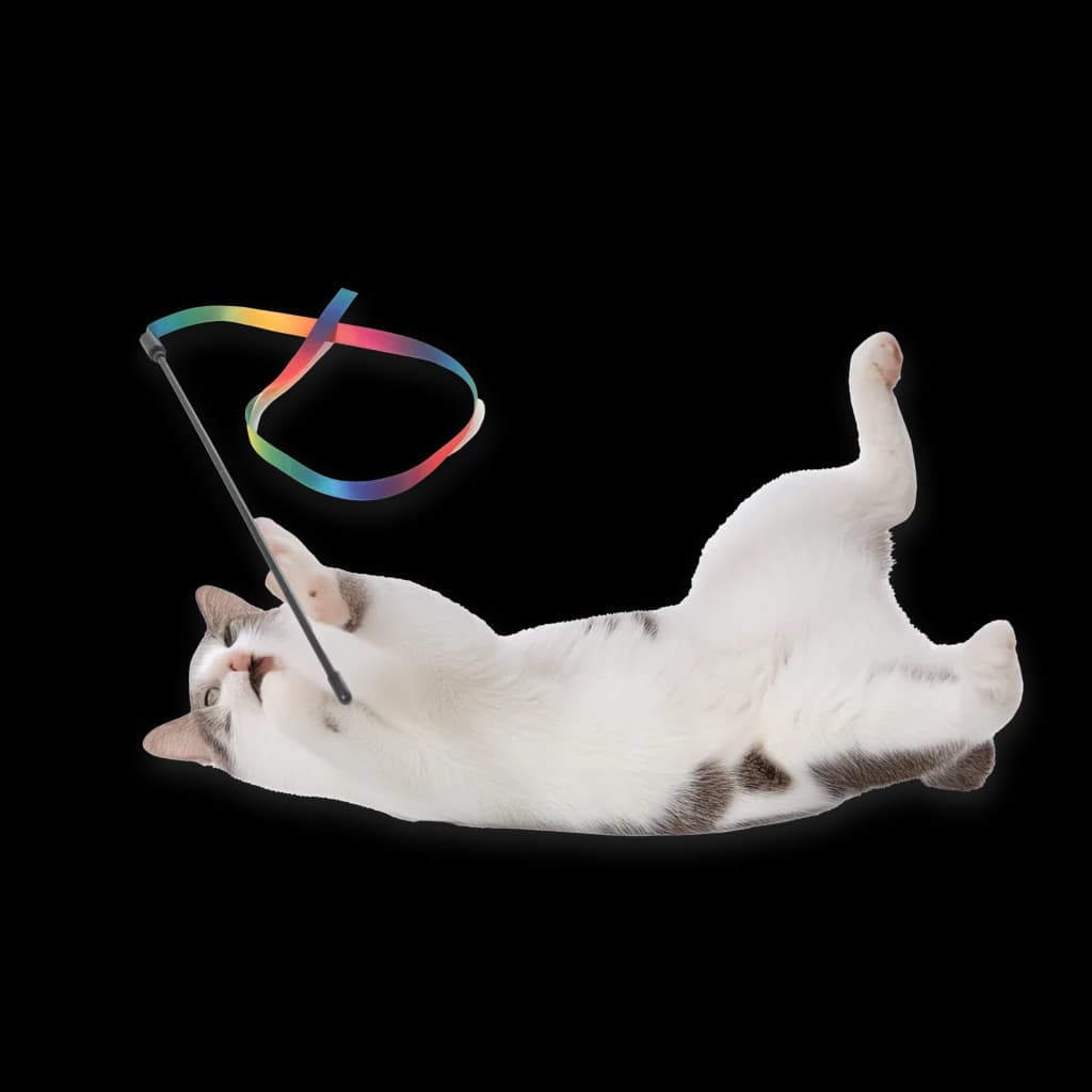 Set juegos para gatos 24 unidades - Túnel T