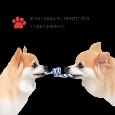 Juguetes de entrenamiento para cachorros 12 unidades