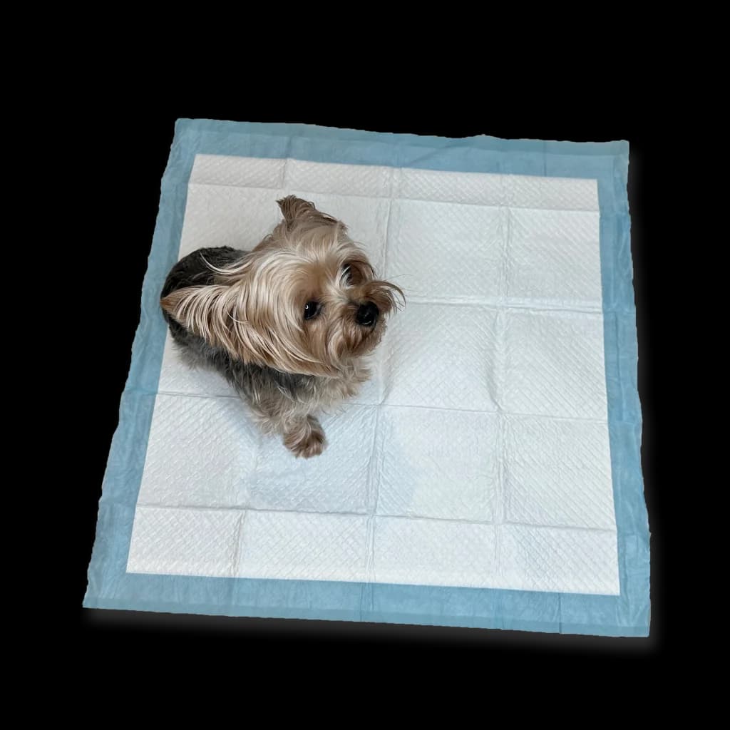 Almohadillas de entrenamiento para mascotas