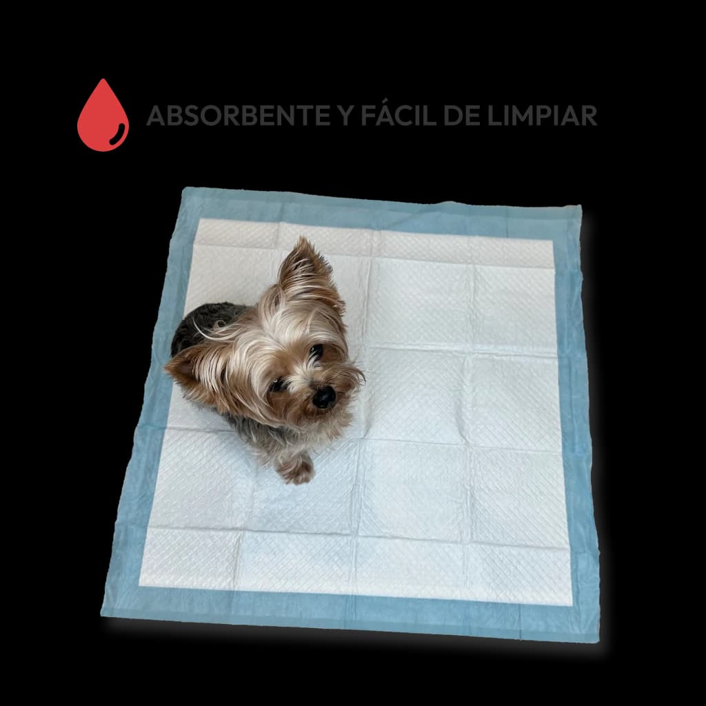 Almohadillas de entrenamiento para mascotas