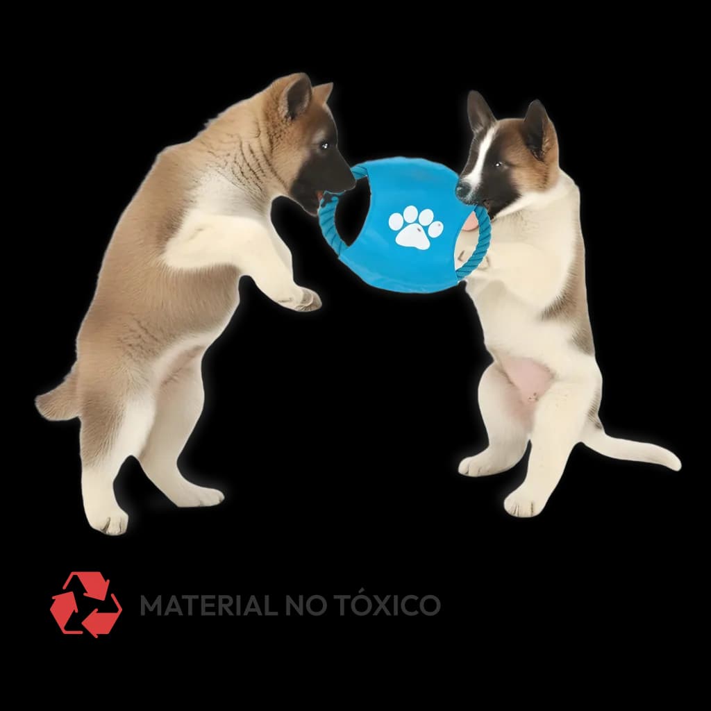 Set juegos para perros - 11 Unidades