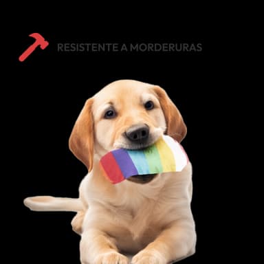 Juguetes de entrenamiento para cachorros 12 unidades