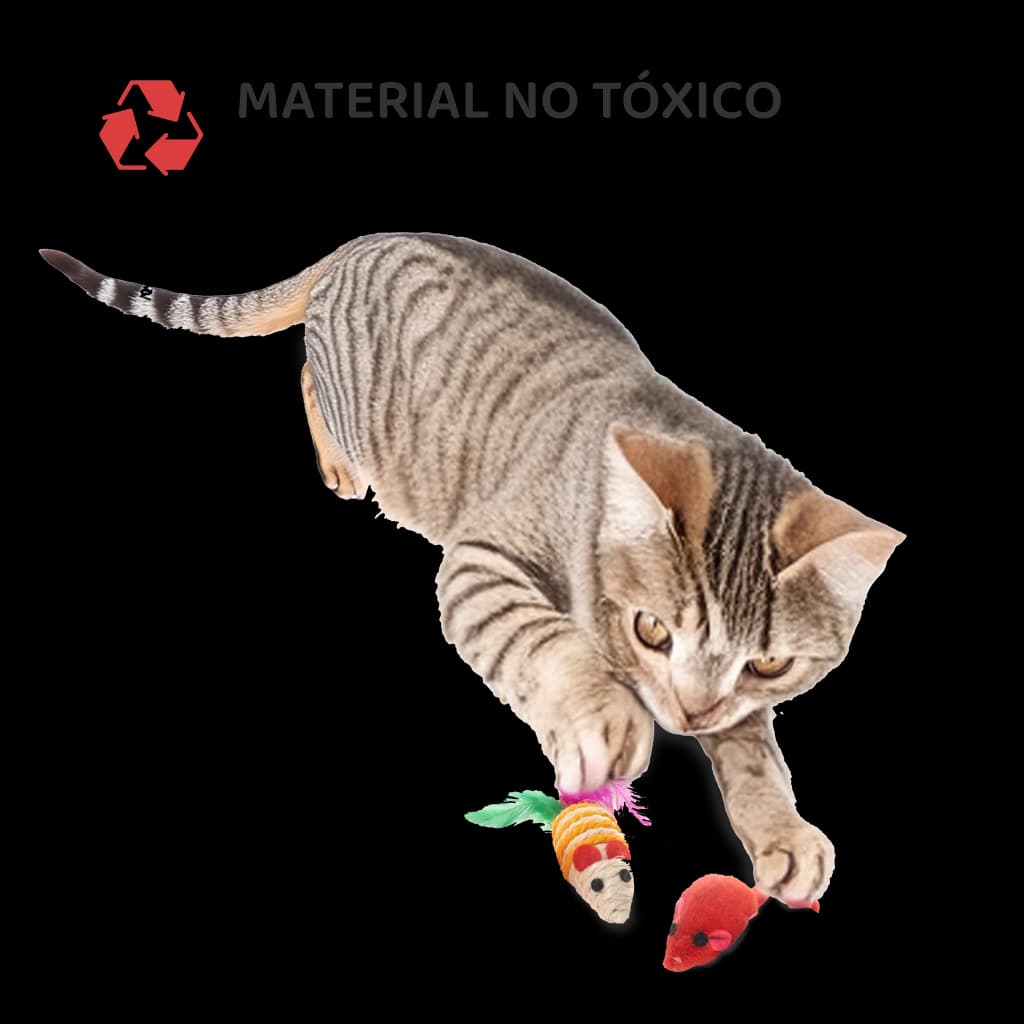 Set juegos para gatos 21 unidades