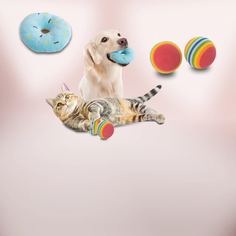 Con Gudyz también podrás consentir a tus mascotas